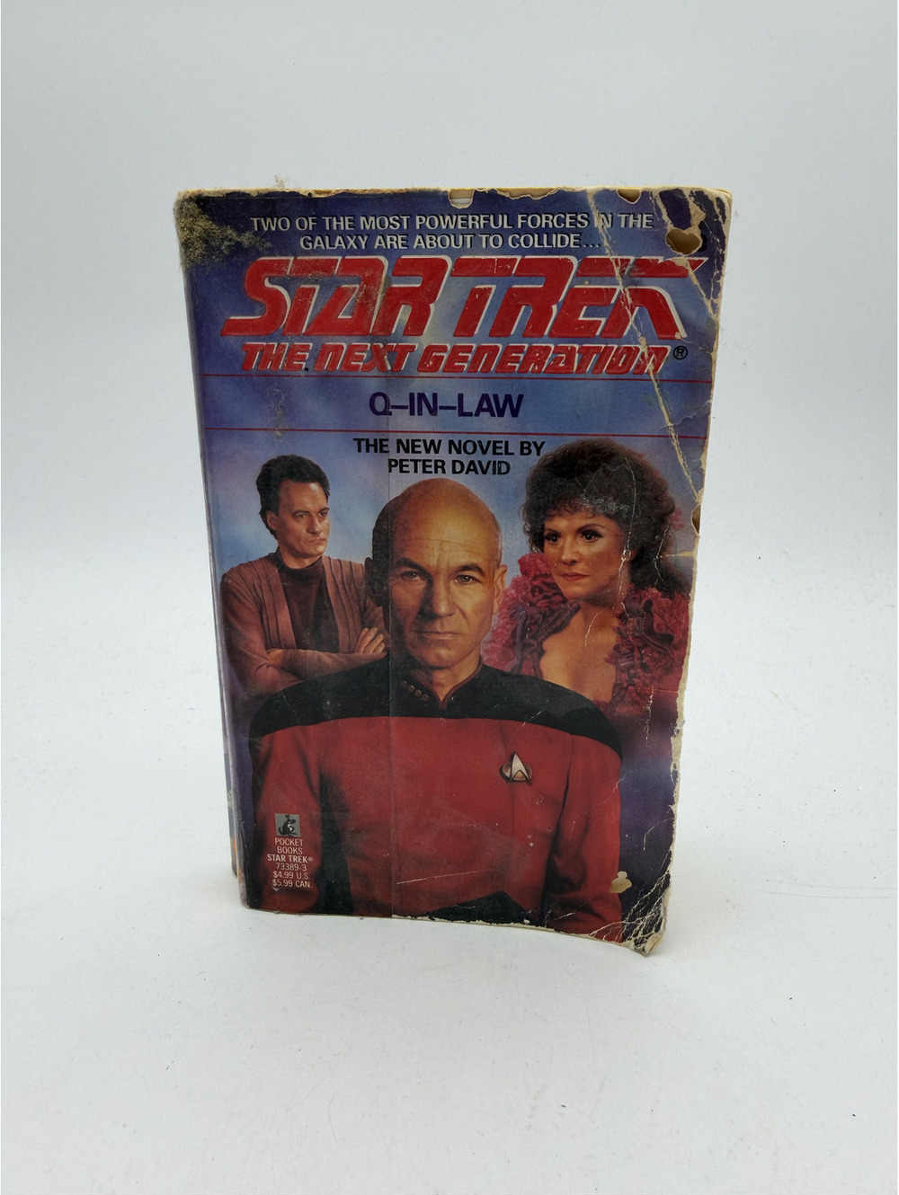 Star Trek The Next Generation: Q-in-Law by Peter David